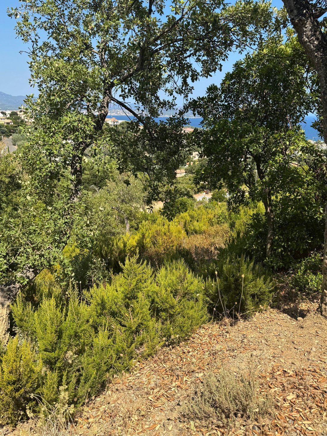 Land in Les Issambres, Roquebrune-sur-Argens, France 3 - 18575122