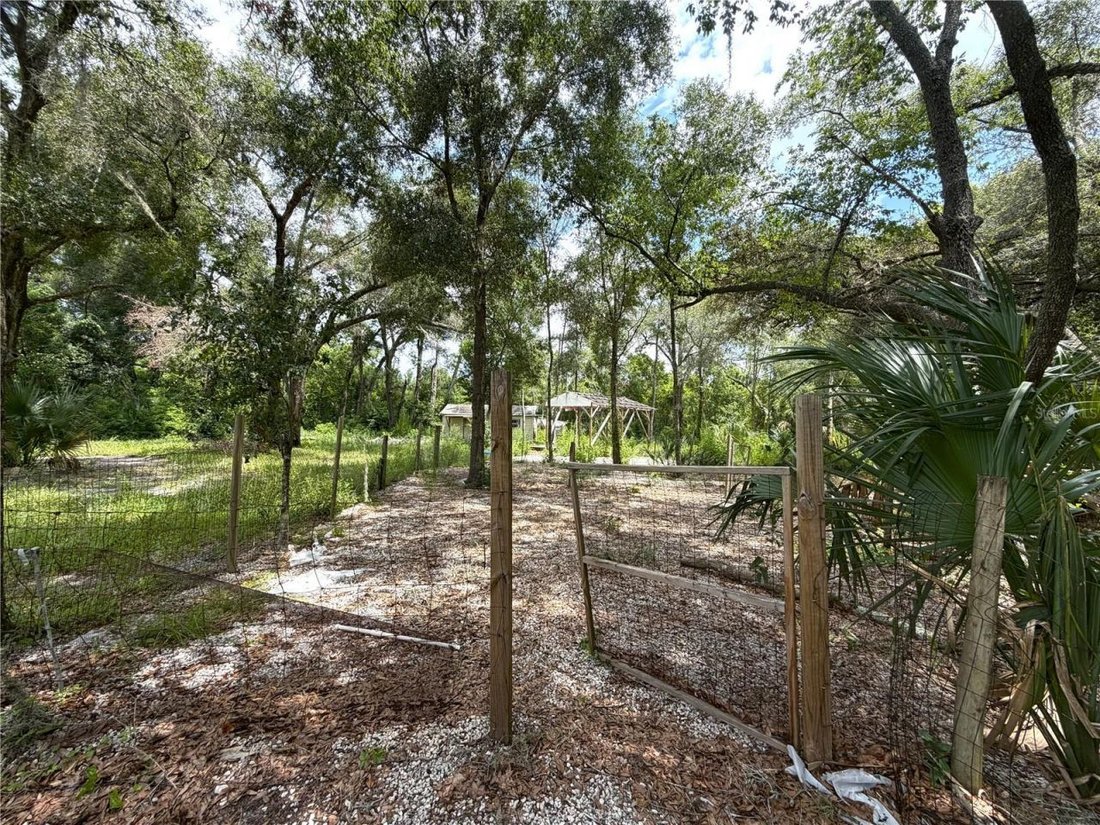 Land in Apopka, Florida, United States 4 - 18578629