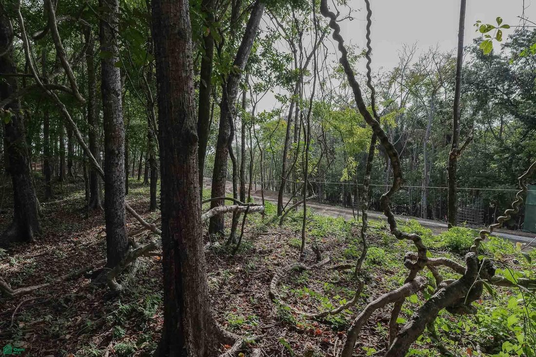 Land in Cuajiniquil, Santa Cruz, Costa Rica 2 - 18459494