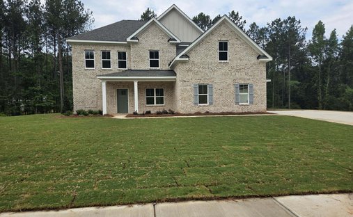 House in Ellenwood, Georgia, United States 1