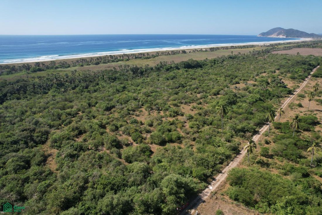 Land in Campamento Cerro Hermoso, Oaxaca, Mexico 3 - 18518548