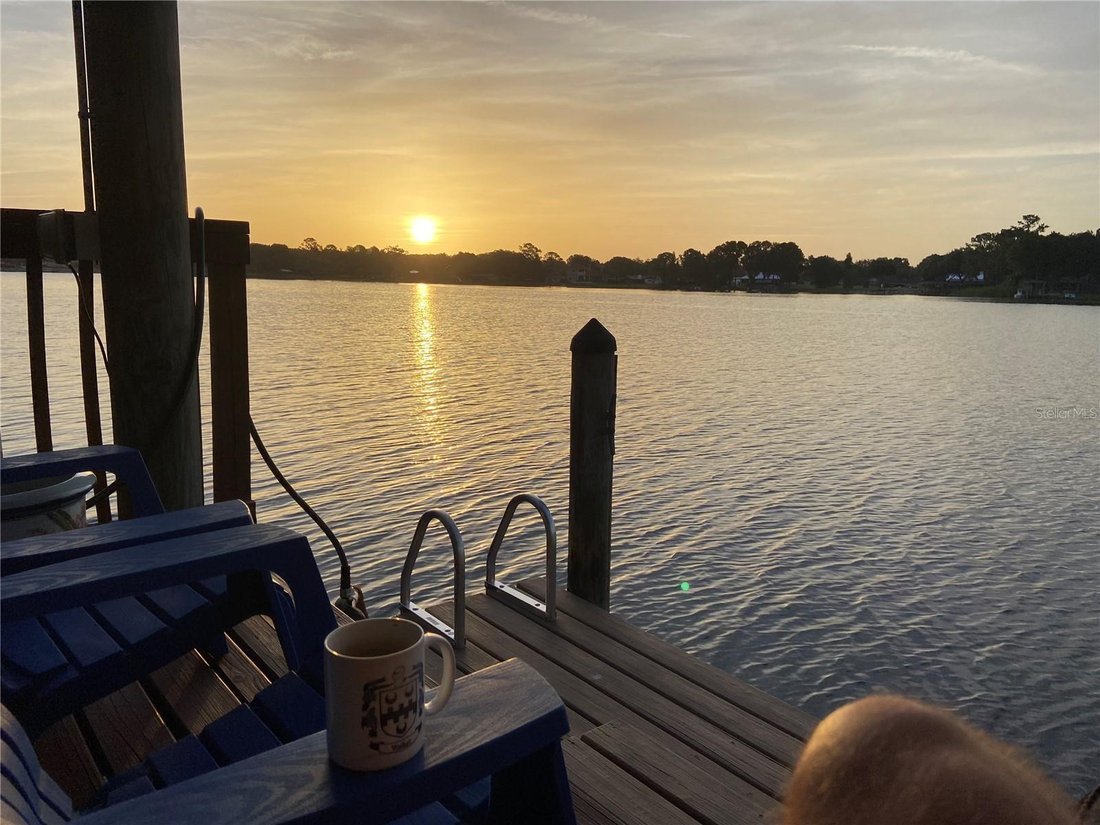 House in Land O' Lakes, Florida, United States 4 - 18568809