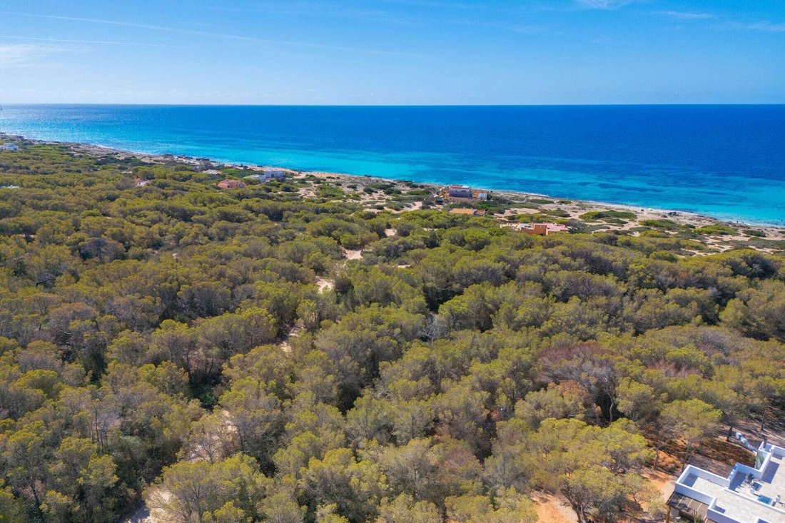 Villa in Formentera, Balearic Islands, Spain 2 - 18575947