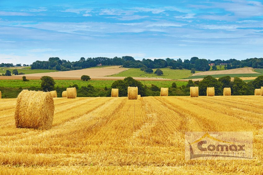 Land in Taglio di Po, Veneto, Italy 4 - 18578246