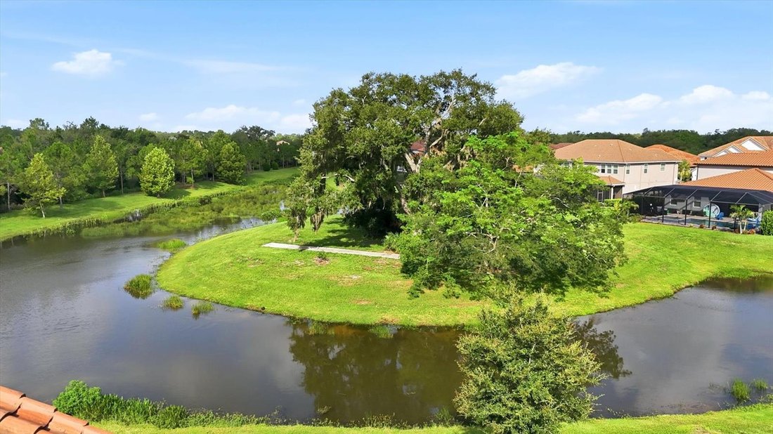 House in Sarasota, Florida, United States 3 - 18576768