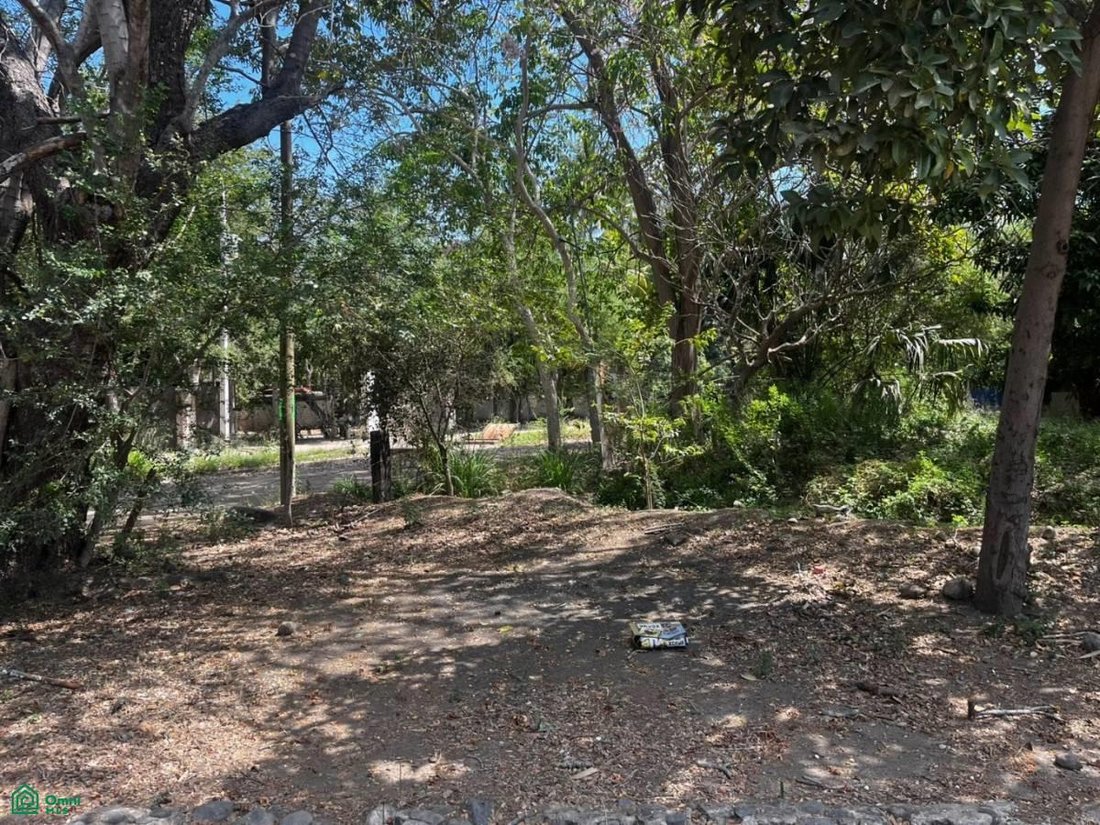 Land in Colima, Colima, Mexico 2 - 17811018