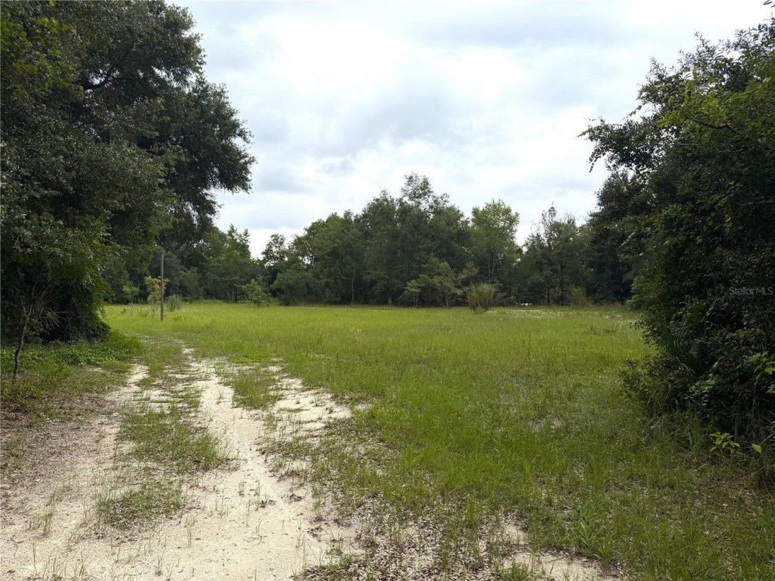 Land in Apopka, Florida, United States 2 - 18578629