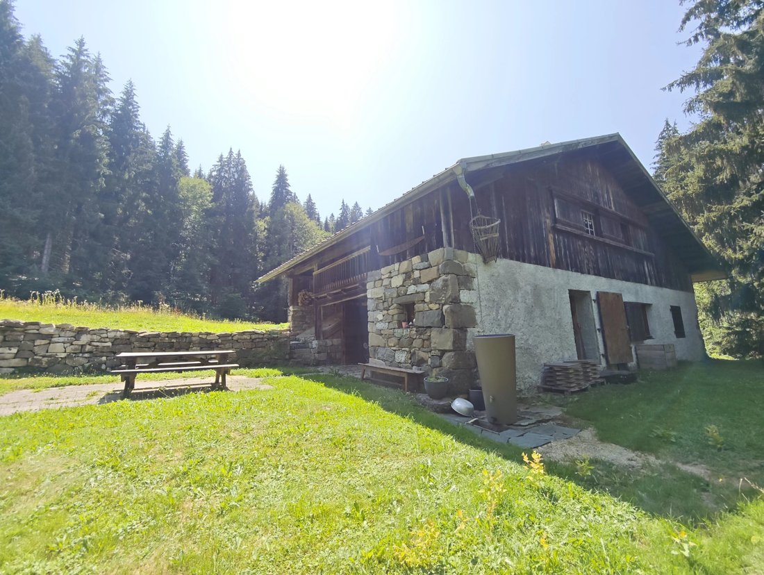 Chalet in Morillon, Auvergne-Rhône-Alpes, France 1 - 18575085
