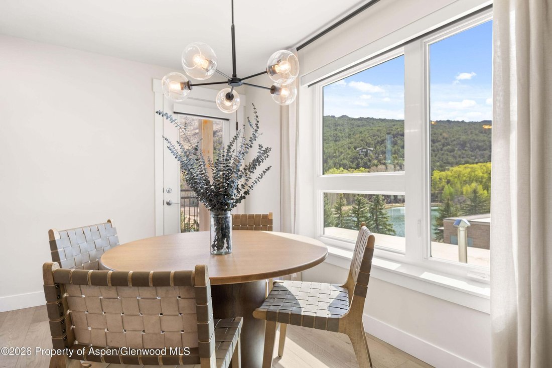 Condo in El Jebel, Colorado, United States 5 - 18576235