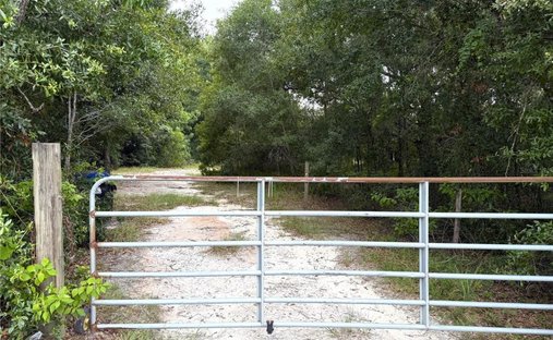 Terreno en Apopka, Florida, Estados Unidos 1