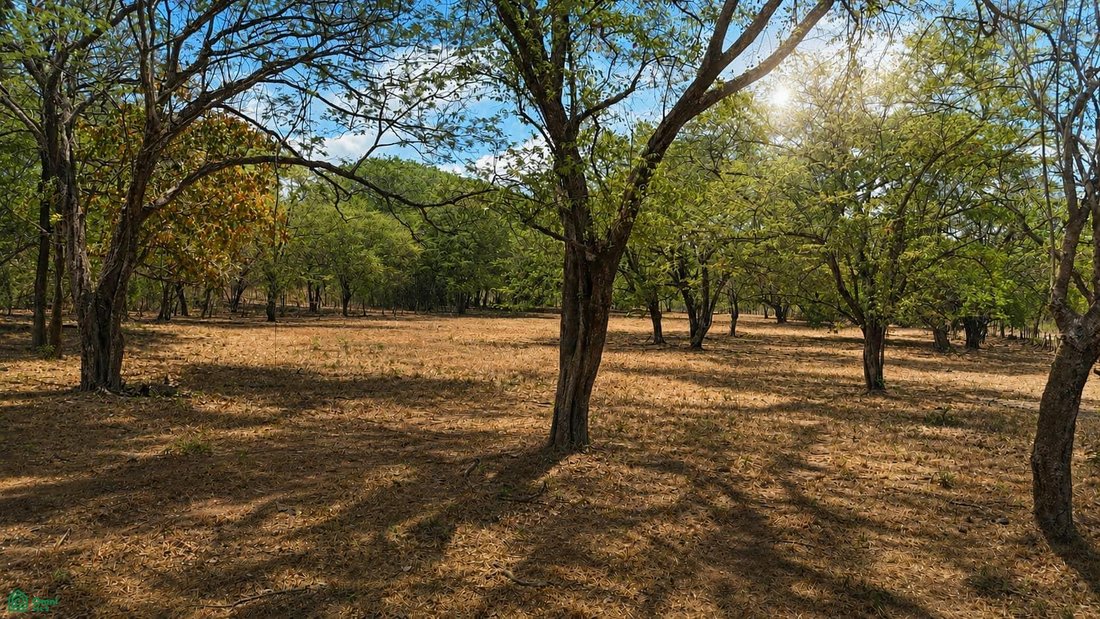Land in Cabo Velas, Santa Cruz, Costa Rica 4 - 18266484