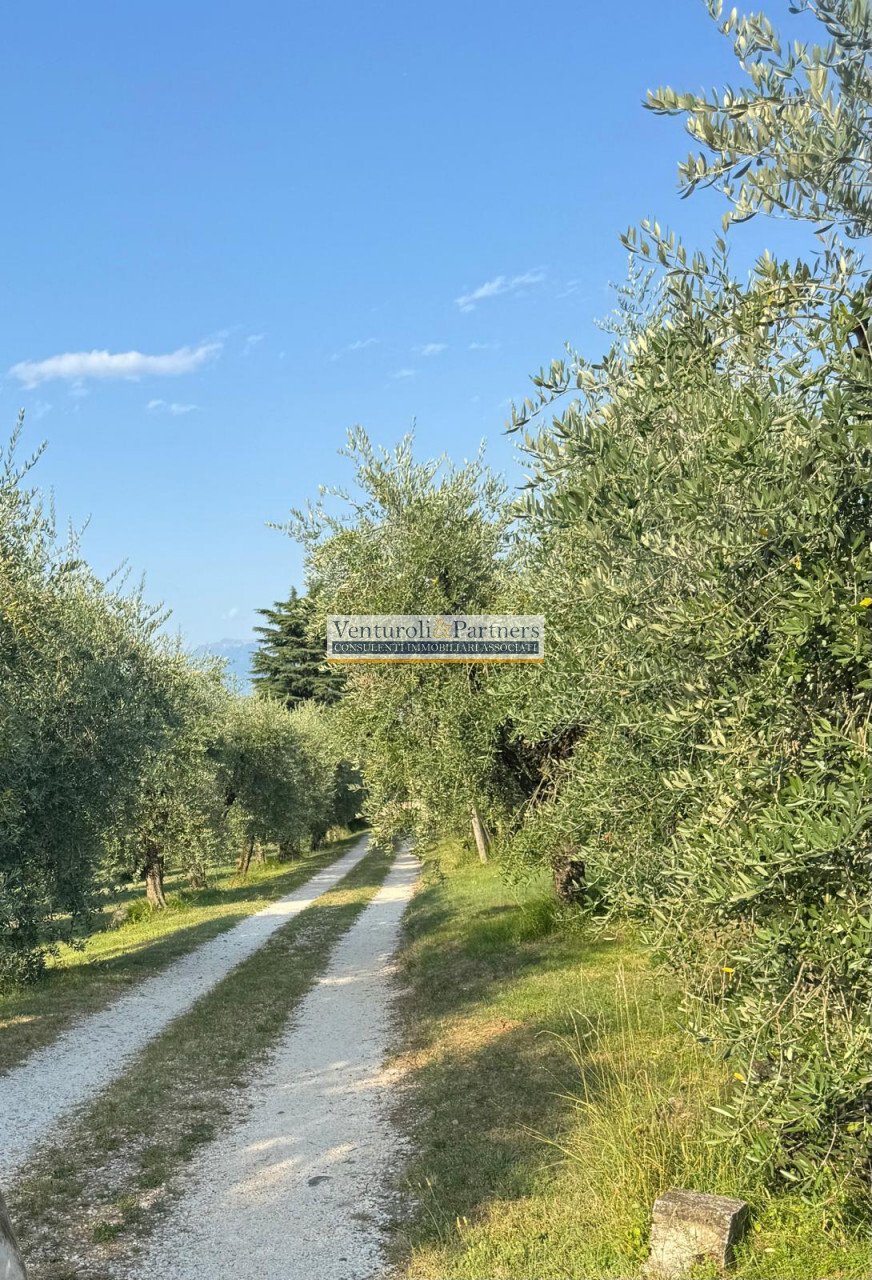Estate in San Felice del Benaco, Lombardy, Italy 5 - 18578261