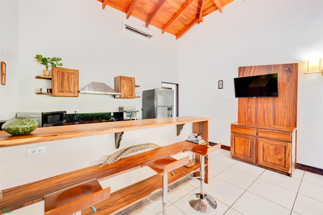 House in Potrero, Guanacaste Province, Costa Rica 2 - 18220000