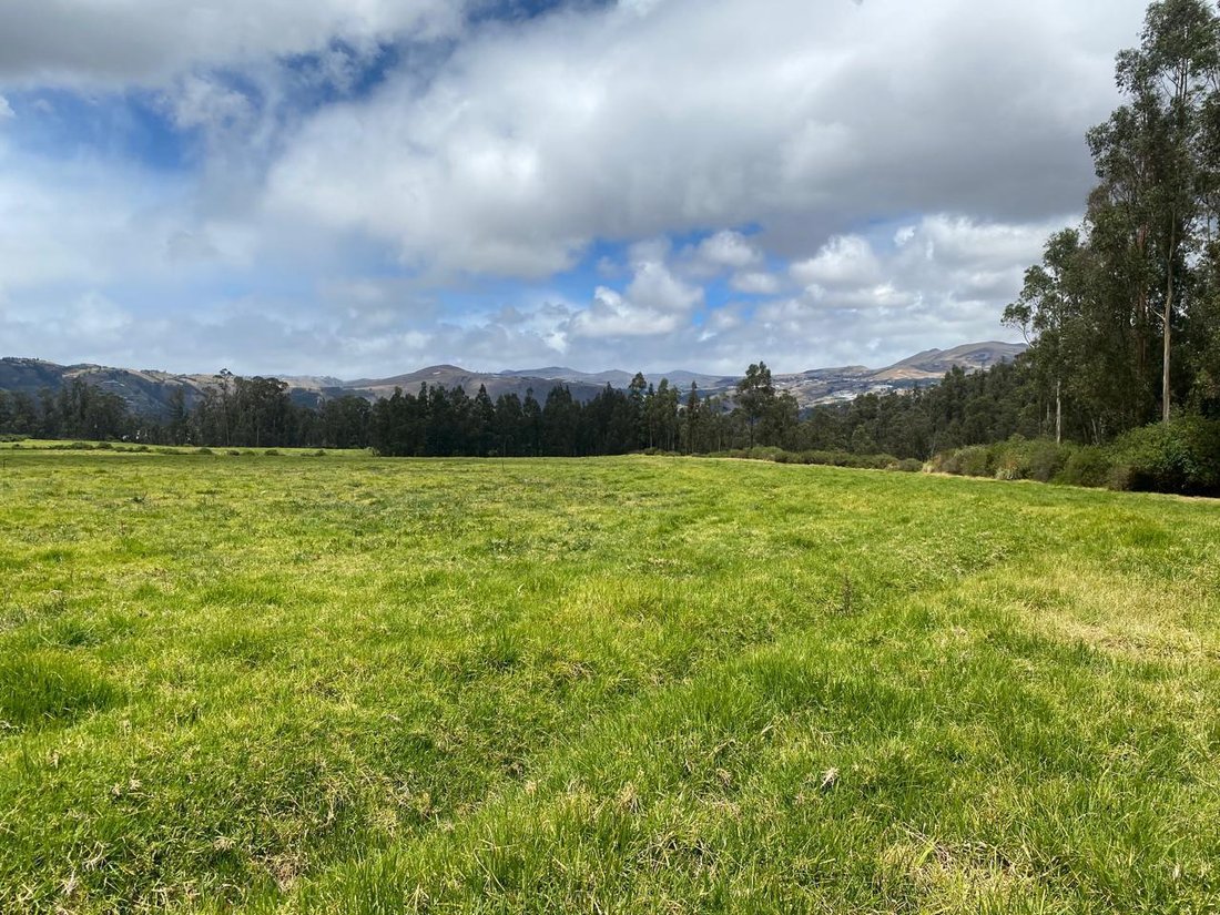 Farm Ranch in Machachi, Pichincha, Ecuador 1 - 18571669