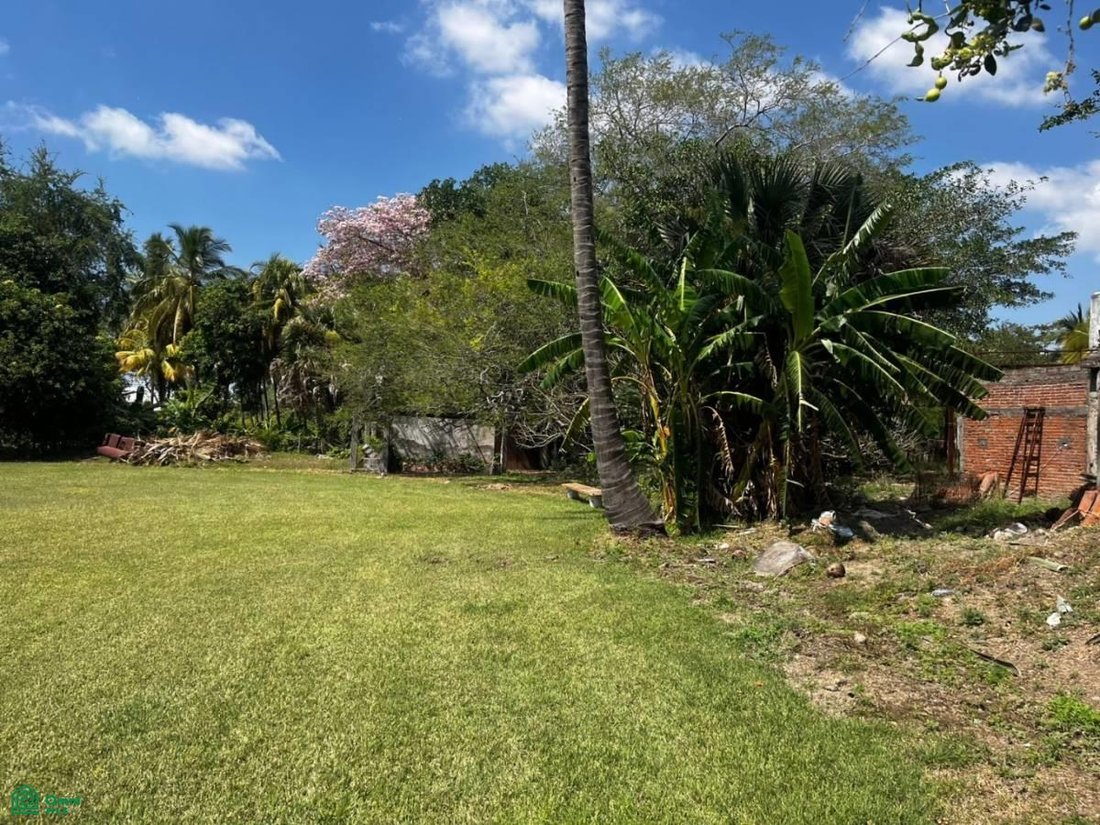 Land in Colima, Colima, Mexico 1 - 17811018