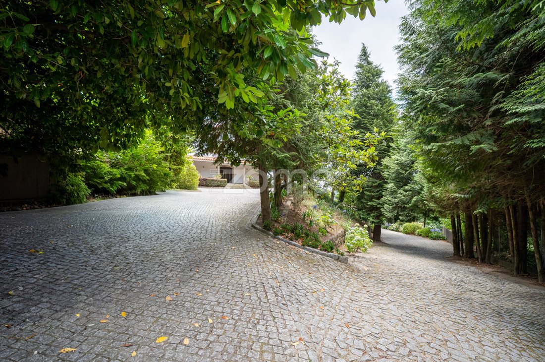 Finca in Infantas, Braga, Portugal 5 - 18578076
