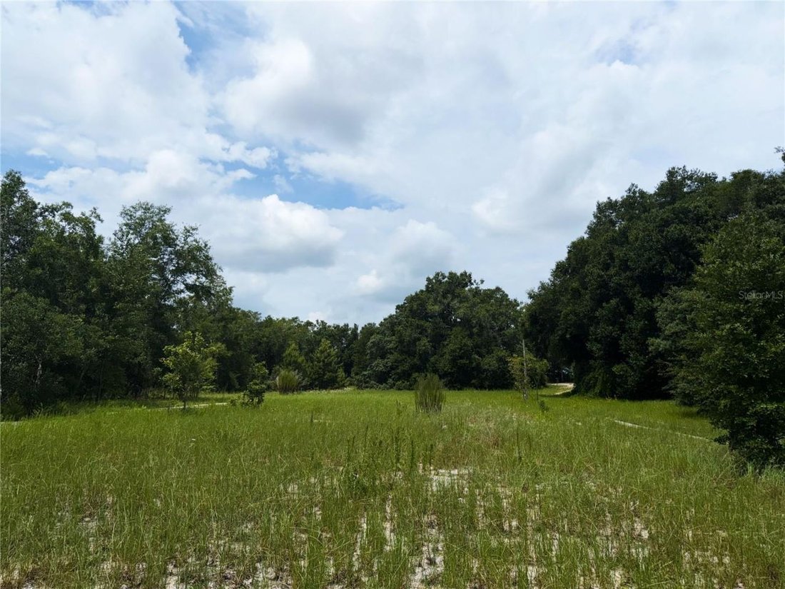 Land in Apopka, Florida, United States 3 - 18578629