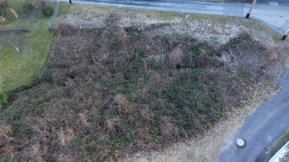Land in Gambarogno, Ticino, Switzerland 2 - 18575834