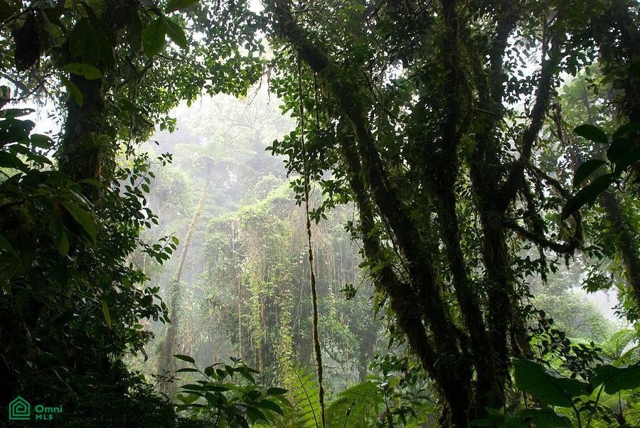 Land in San Ramón, San Ramón, Costa Rica 2 - 18353387