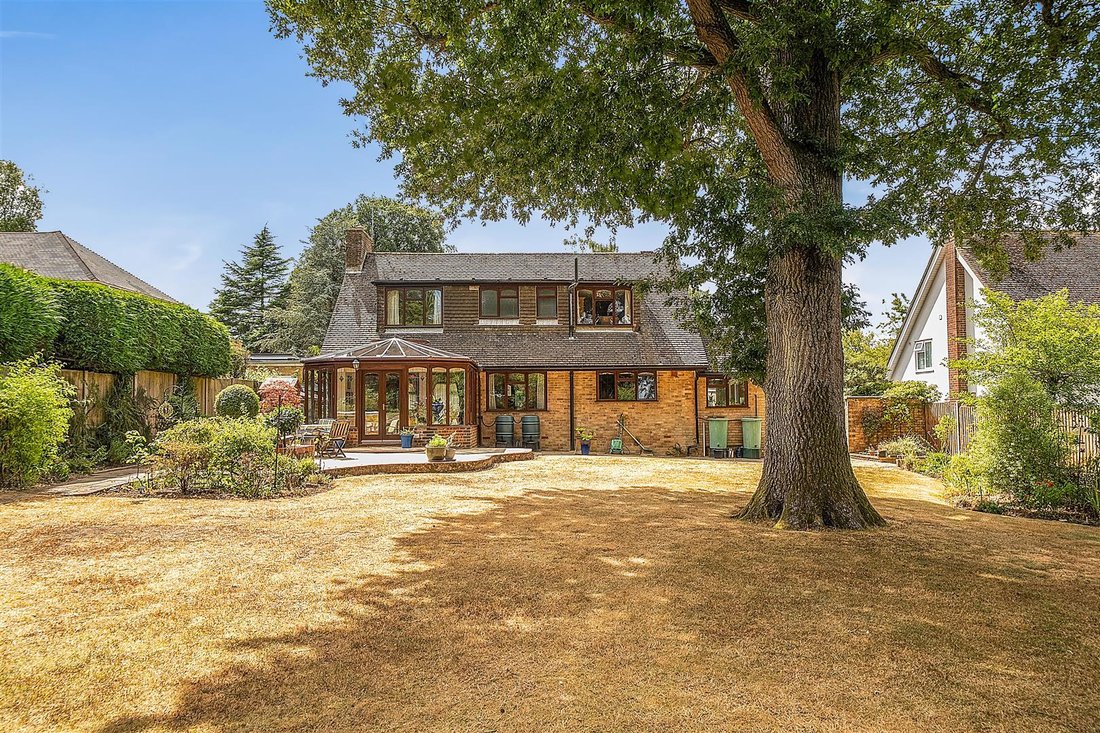House in Liphook (Bramshott and Liphook), Liphook, England 3 - 18574405