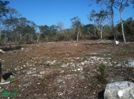 Land in Komchen, Yucatan, Mexico 2 - 18030331