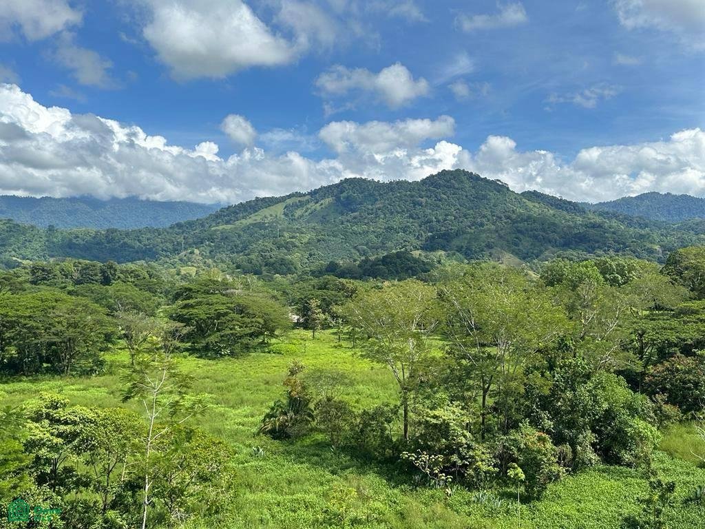 House in Naranjito, Puntarenas Province, Costa Rica 3 - 17371436