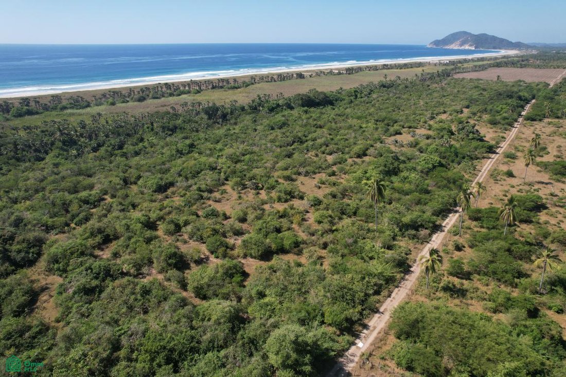 Land in Campamento Cerro Hermoso, Oaxaca, Mexico 2 - 18518548
