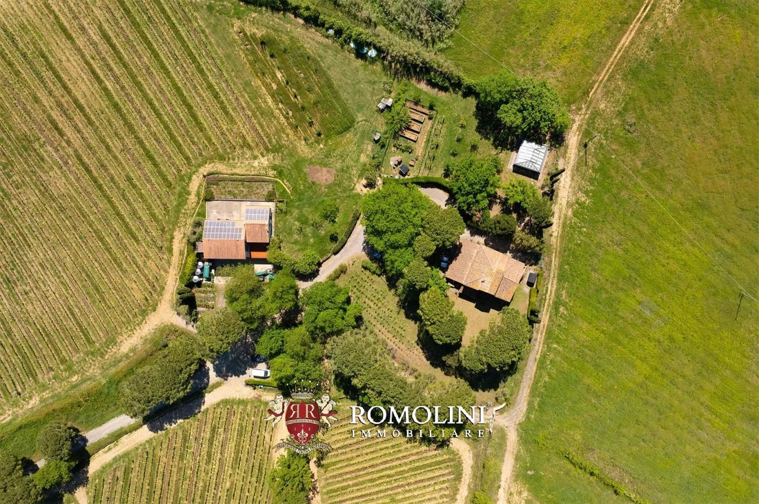 Farm Ranch in Montescudaio, Tuscany, Italy 3 - 18575234