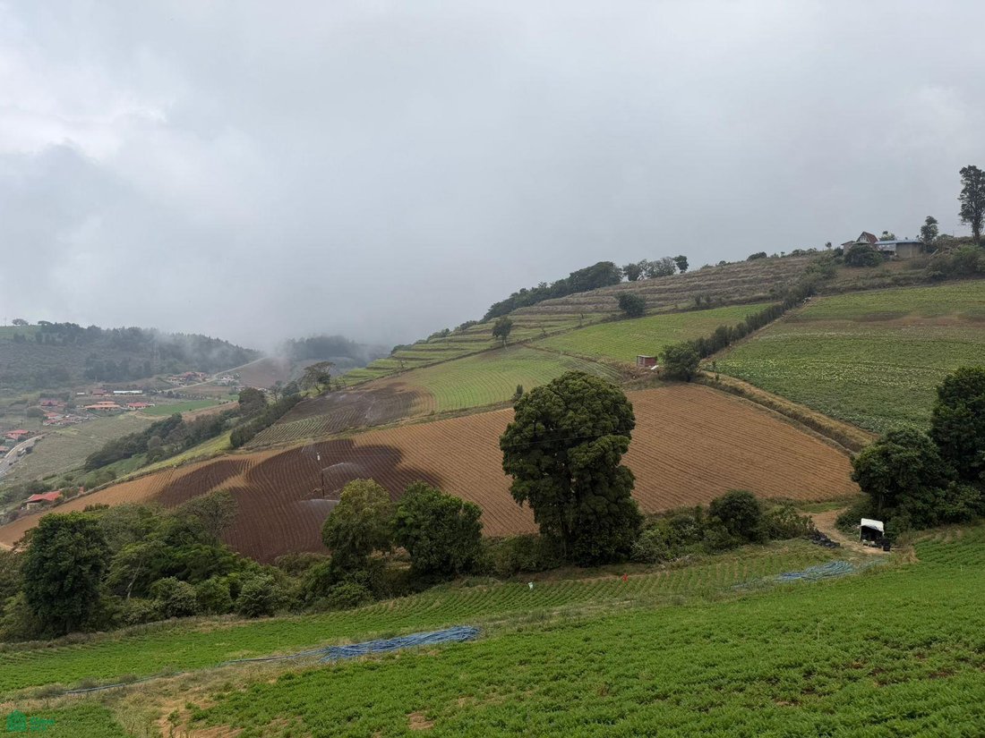 Land in Alfaro Ruiz, Alajuela Province, Costa Rica 2 - 18269560