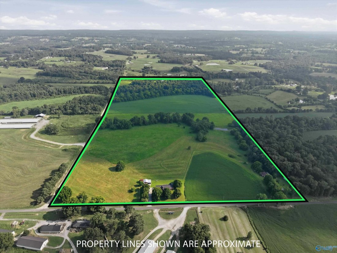 Farm Ranch in Boaz, Alabama, United States 1 - 18577114