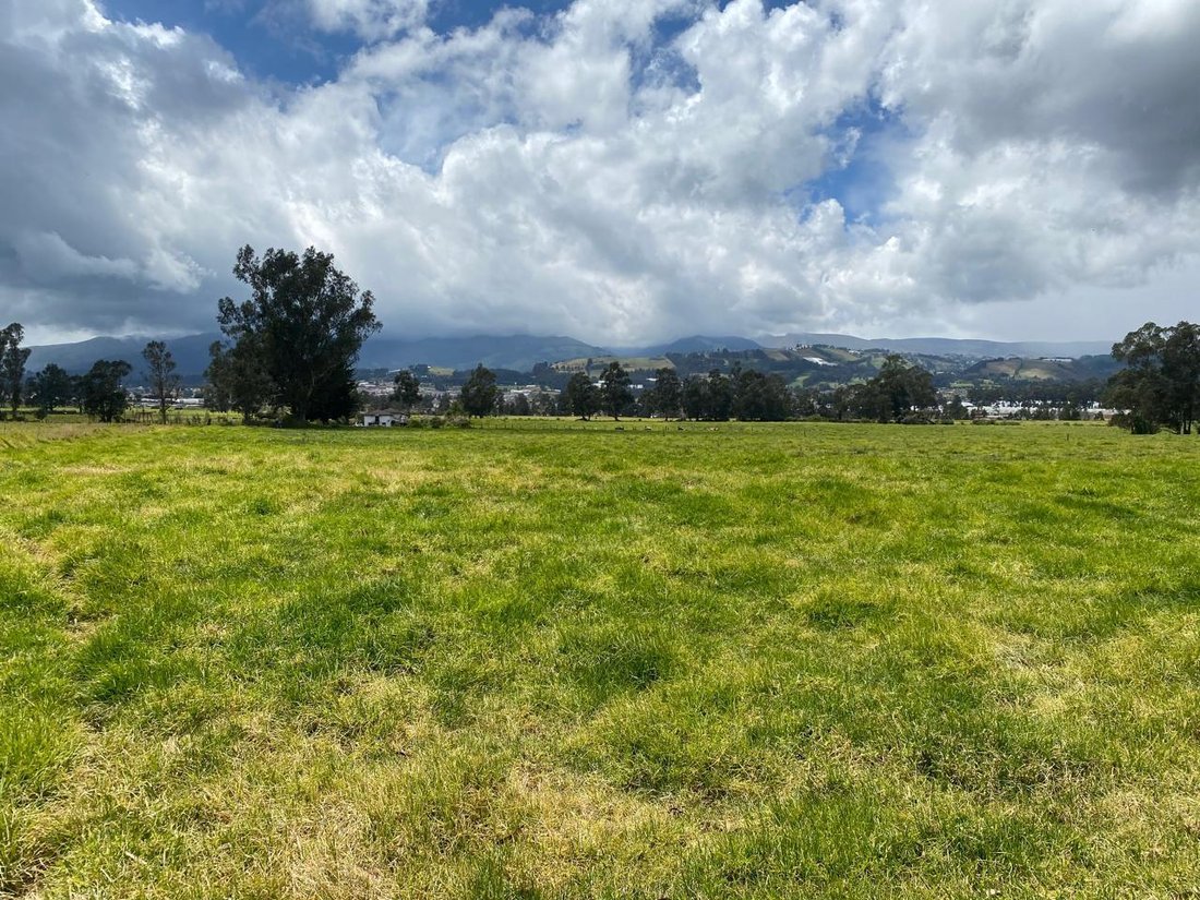 Farm Ranch in Machachi, Pichincha, Ecuador 5 - 18571669