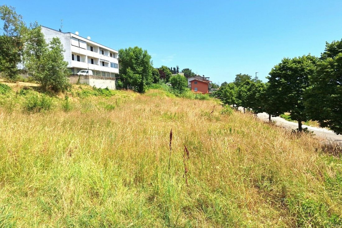 Land in Bertinoro, Emilia-Romagna, Italy 4 - 18578277