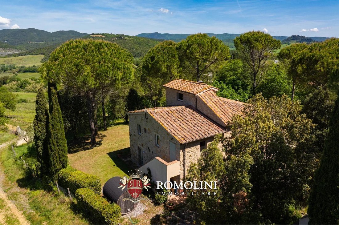 Farm Ranch in Montescudaio, Tuscany, Italy 4 - 18575234