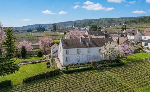 Tenuta a Fixin, Borgogna-Franca Contea, Francia 1
