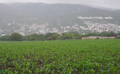 Terreno a Chilpancingo, Guerrero, Messico 1