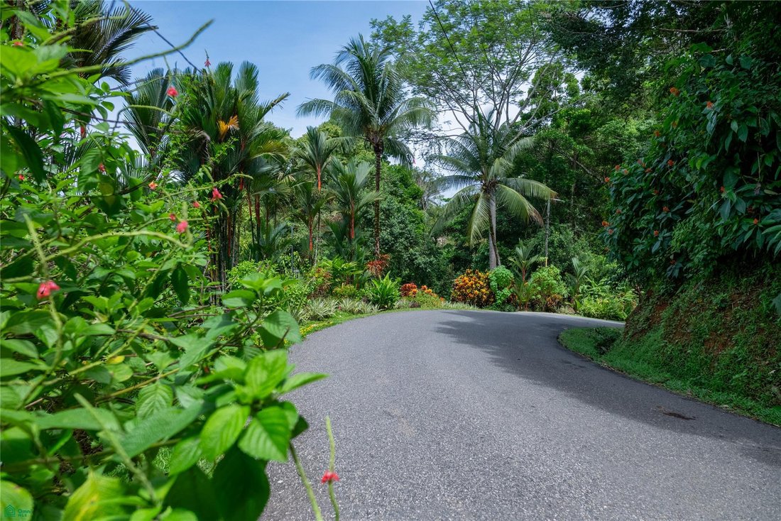 Haus in Uvita, Provinz Puntarenas, Costa Rica 2 - 18321243