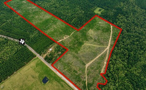 Land in Newton, Texas, United States 1