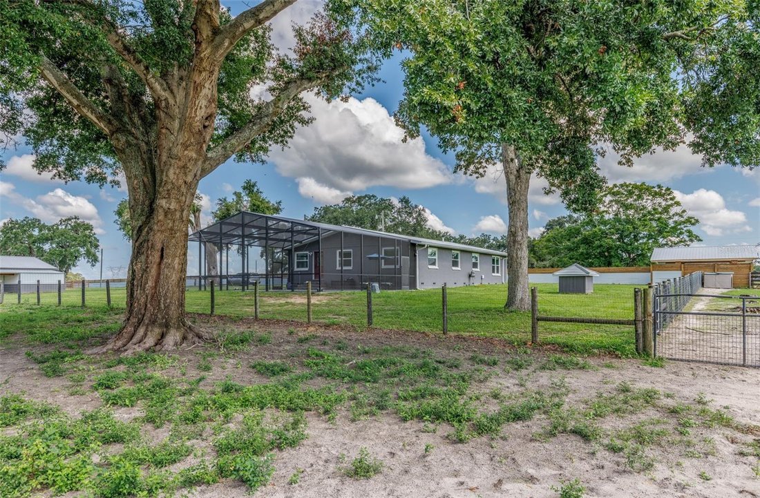 Farm Ranch in Wildwood, Florida, United States 2 - 18576681