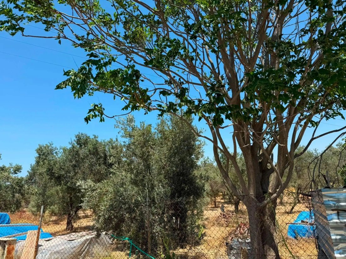 Land in İzmir, İzmir, Turkey 4 - 18574336