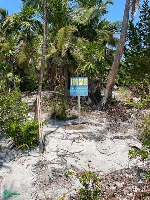 Land in San Pedro, Belize District, Belize 1 - 18001678