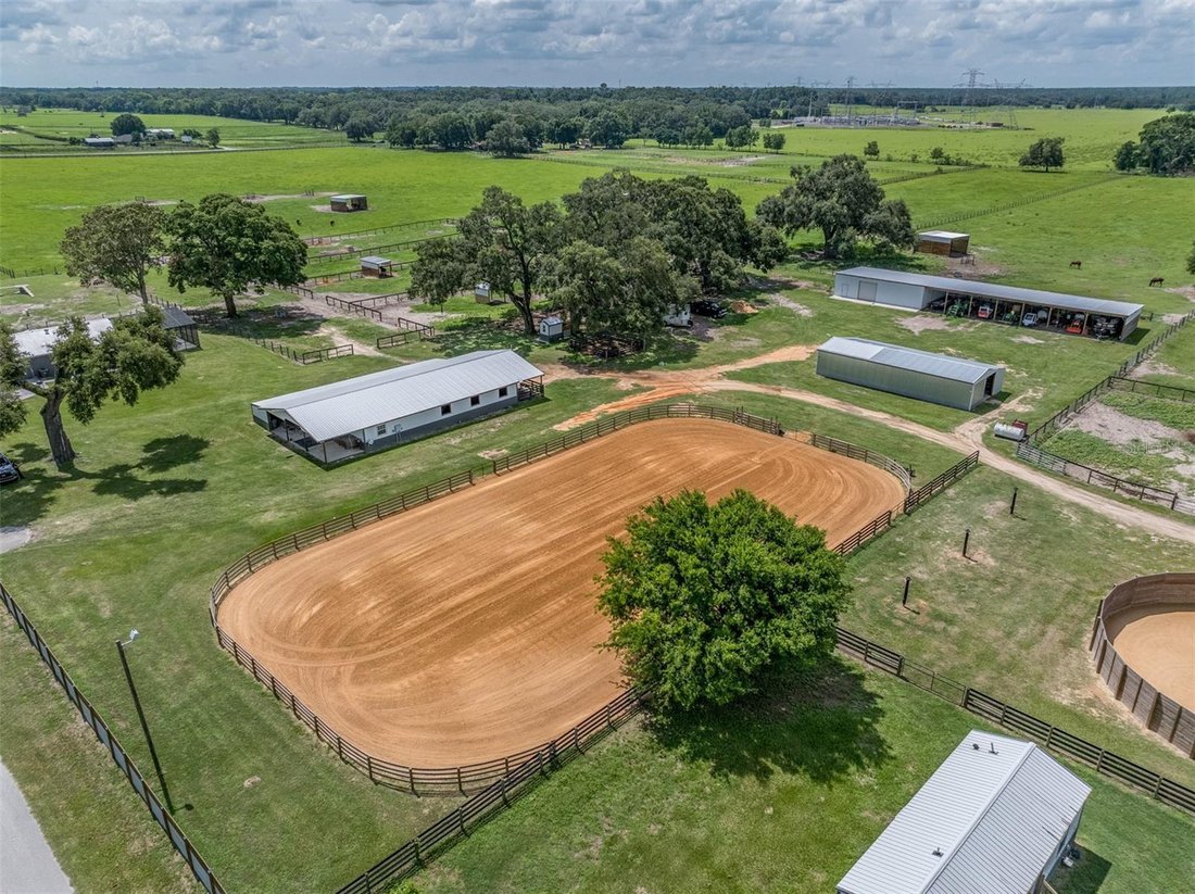 Farm Ranch in Wildwood, Florida, United States 4 - 18576681
