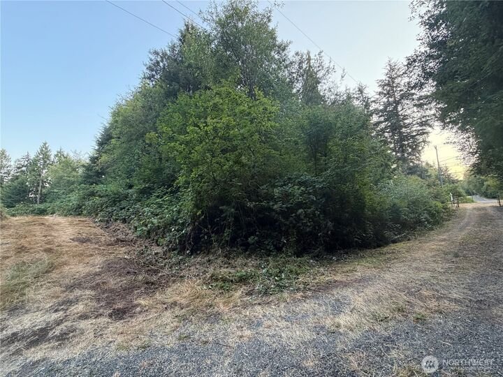 Land in Mill Creek, Washington, United States 3 - 18578804
