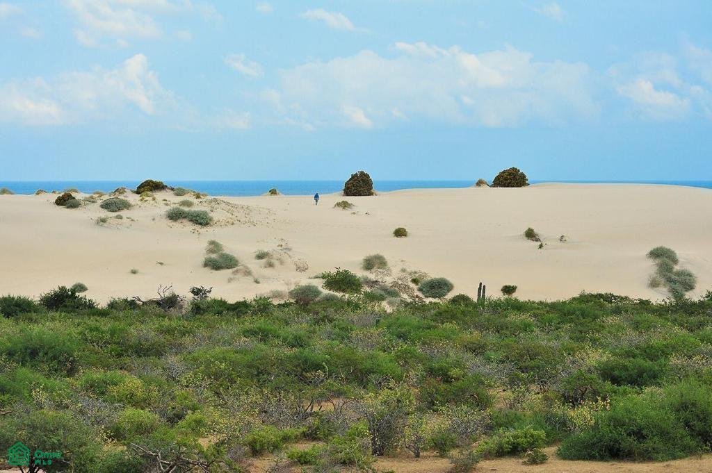 Land in Boca del Salado, Baja California Sur, Mexico 1 - 18417291