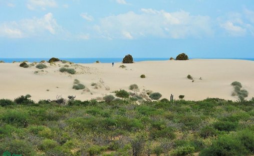 Land in Boca del Salado, Baja California Sur, Mexico 1