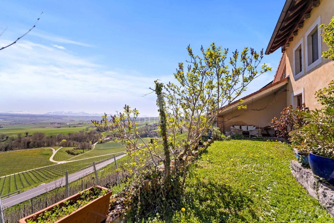 Villa in Rances, Vaud, Switzerland 4 - 18575884