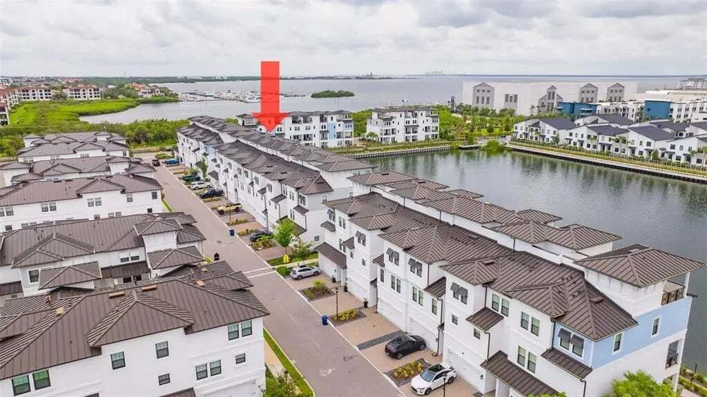 House in Tampa, Florida, United States 5 - 18578636