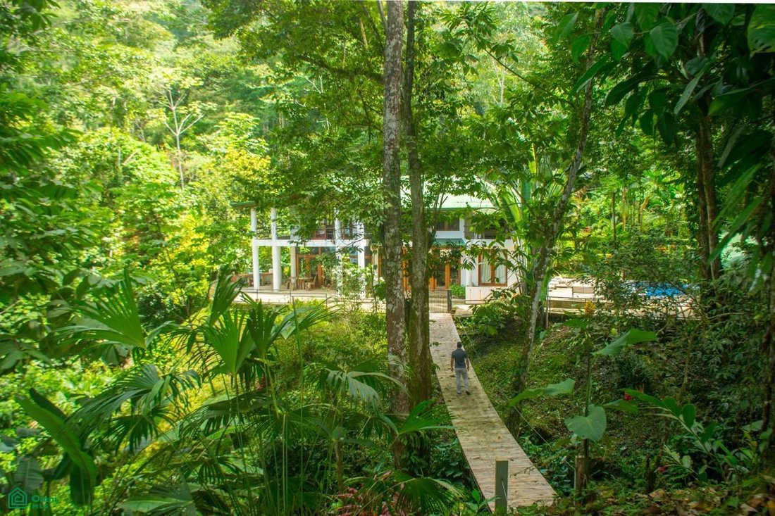 House in Dominicalito, Puntarenas Province, Costa Rica 4 - 18542756