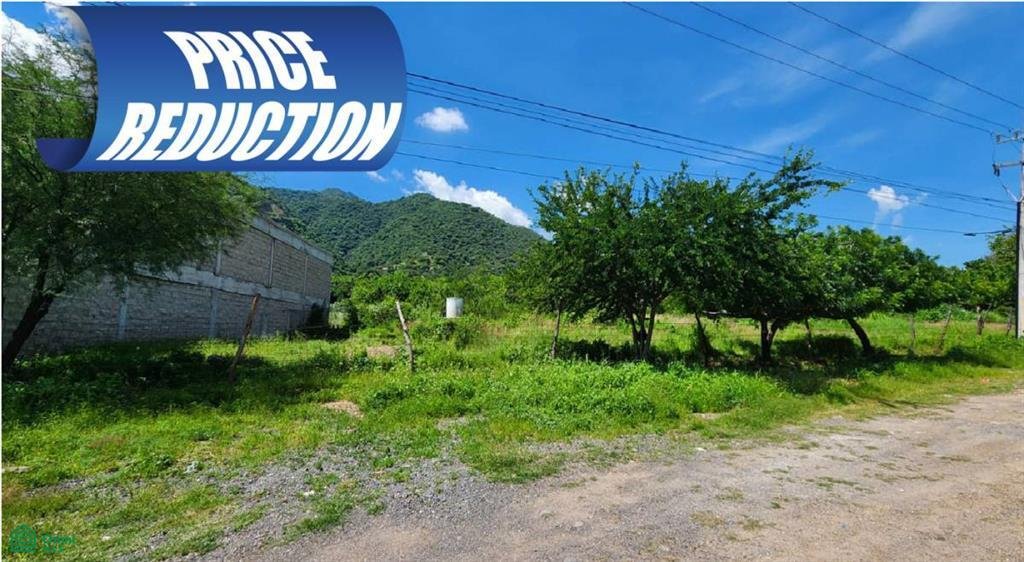 Land in San Antonio Tlayacapan, Jalisco, Mexico 1 - 17804254