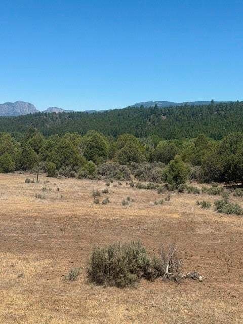 Los Ojos, New Mexico, United States 4 - 18576744