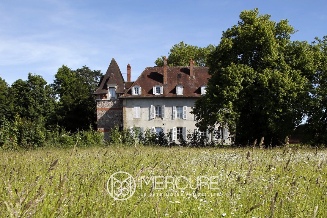 Castle in Treteau, Auvergne-Rhône-Alpes, France 1 - 18575137